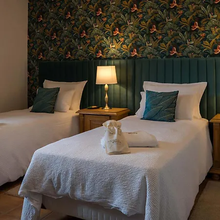 Casa De Olivos - Unique - Adult Only Apartment