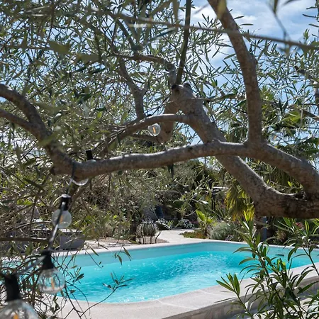 Casa De Olivos - Unique - Adult Only Appartement