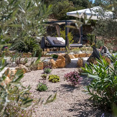 Casa De Olivos - Unique - Adult Only Lägenhet